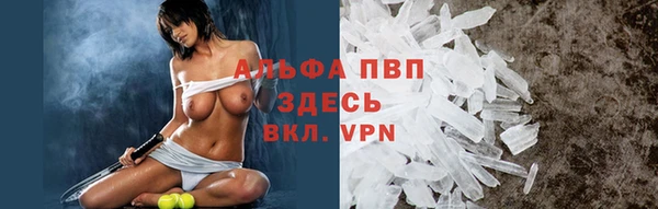 apvp Белокуриха
