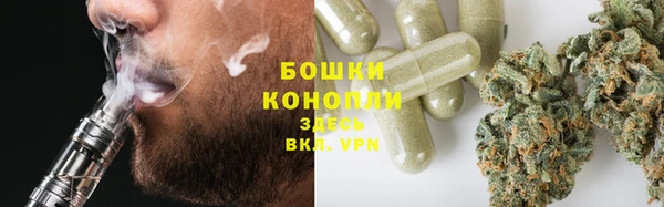 apvp Белокуриха