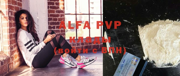 apvp Белокуриха
